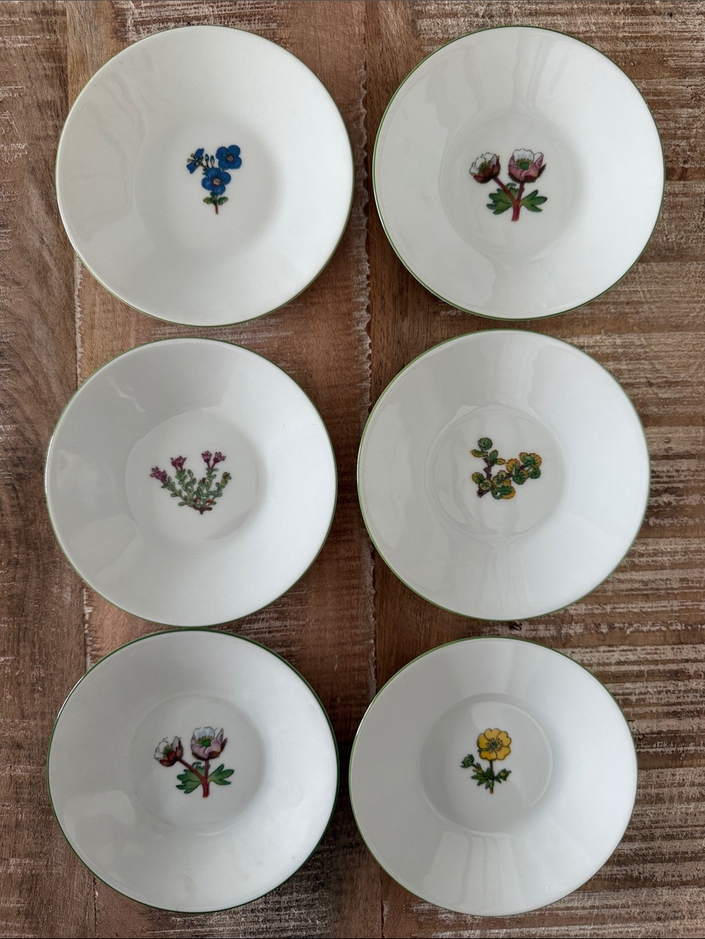 Porsgrund Norway Mountain Flower Lot of 6 Saucers Dessert Plates Botanical